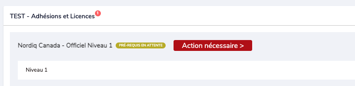 Niveau 1 en attente avec Action nécessaire